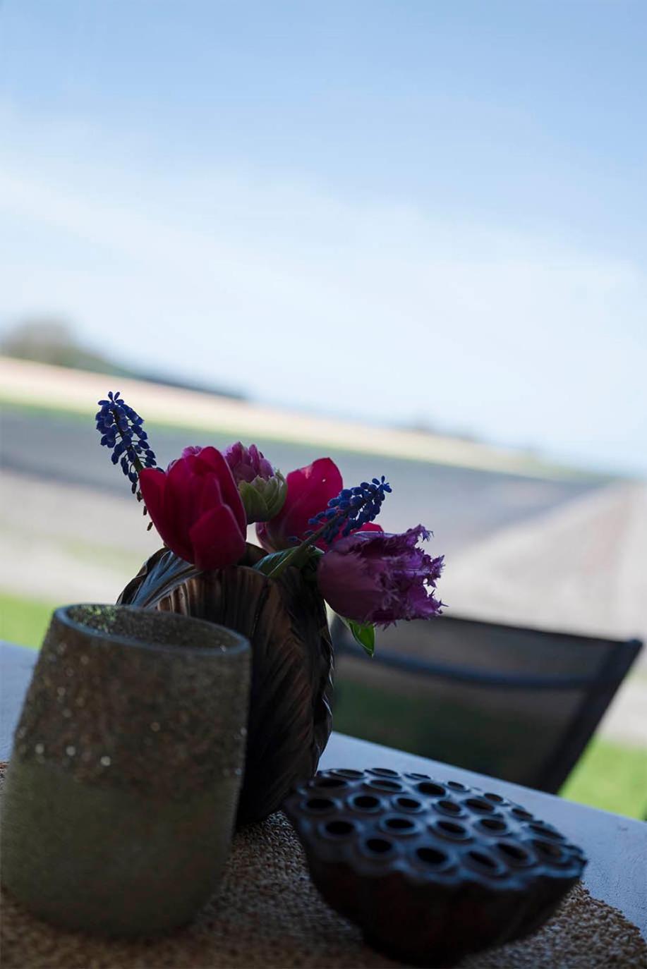 Bloem & Bed Bed & Breakfast 't Zand Exterior photo